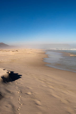 Ripples in The Sand