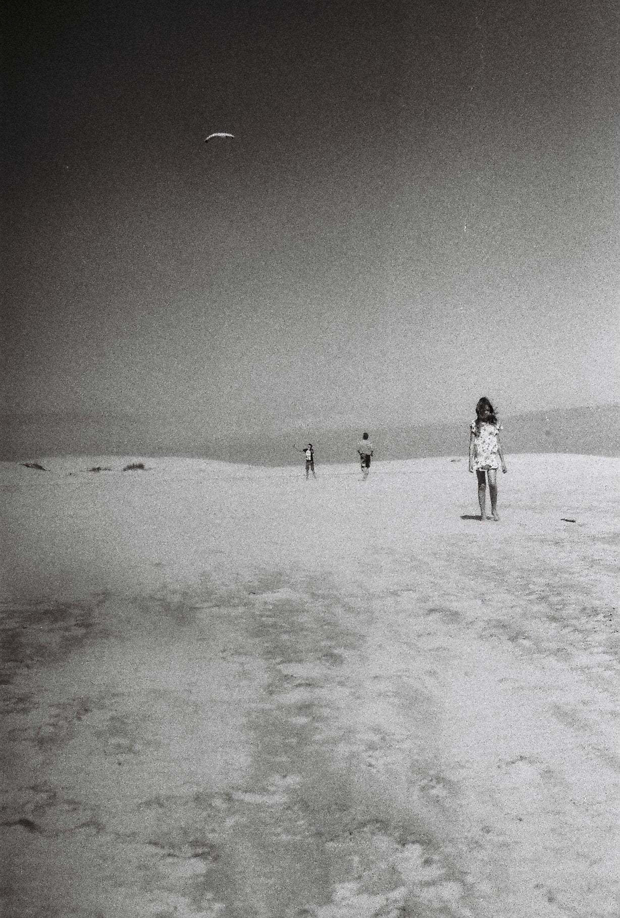 Free11_(film photography)