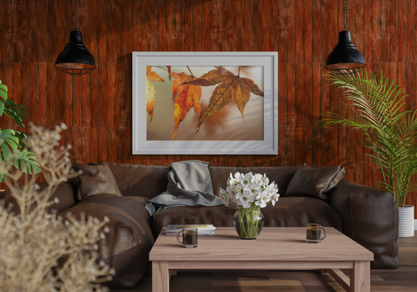 Autumn Love