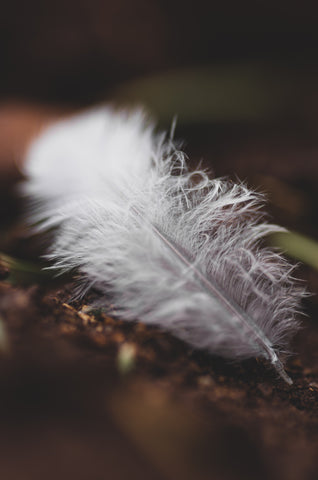 Feather 2