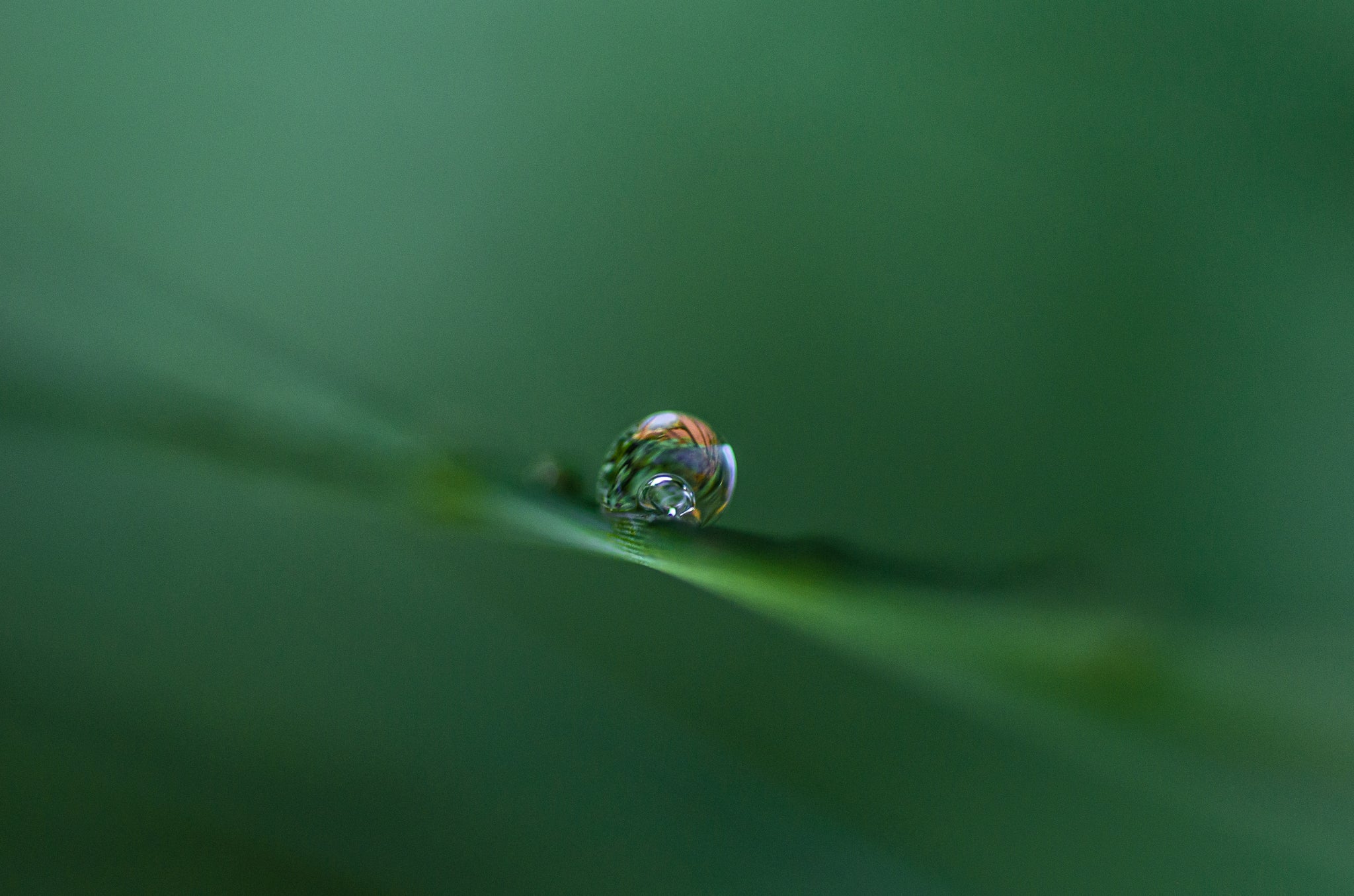 Earth in a Raindrop