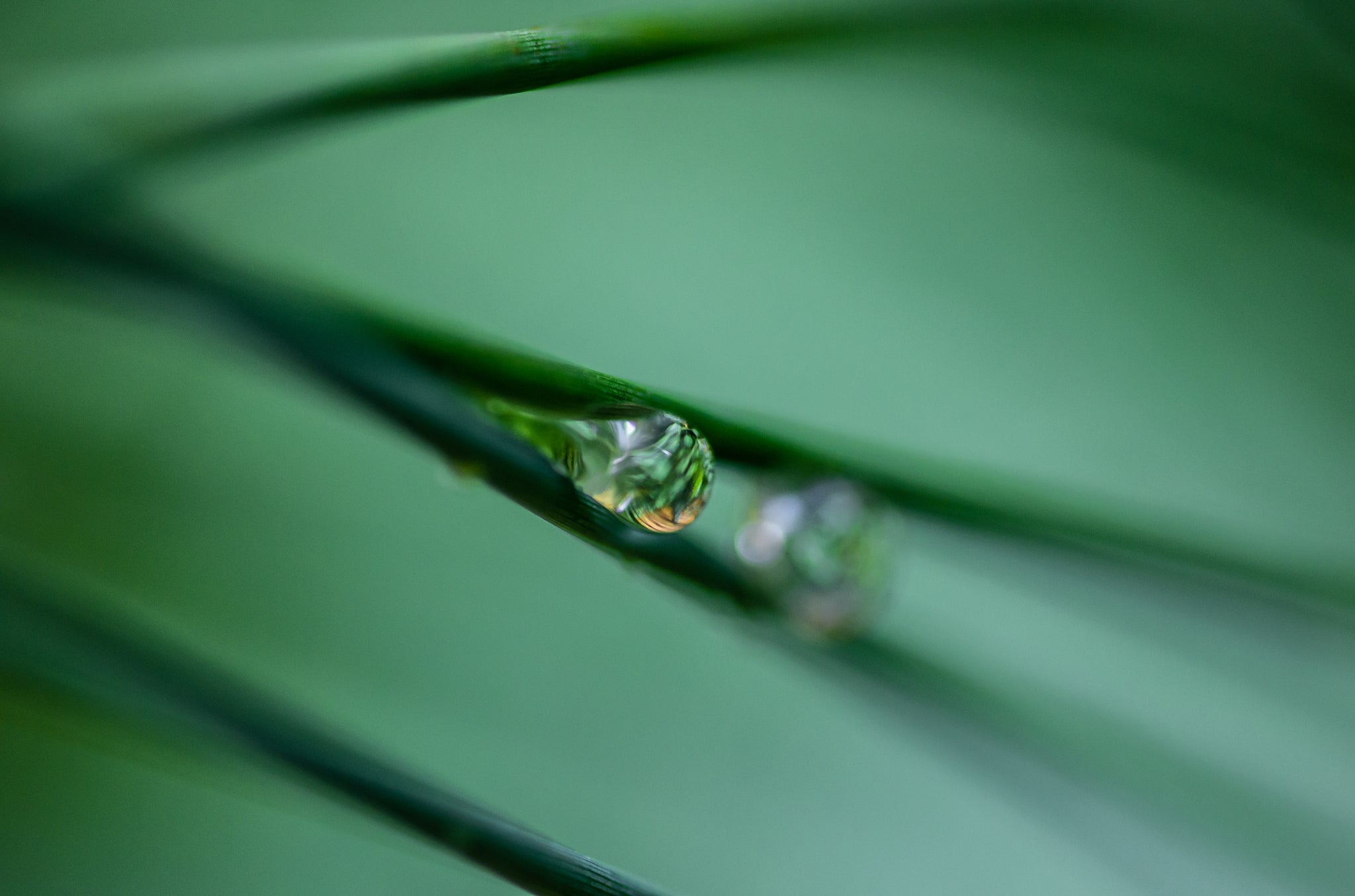 Earth in a Raindrop 2